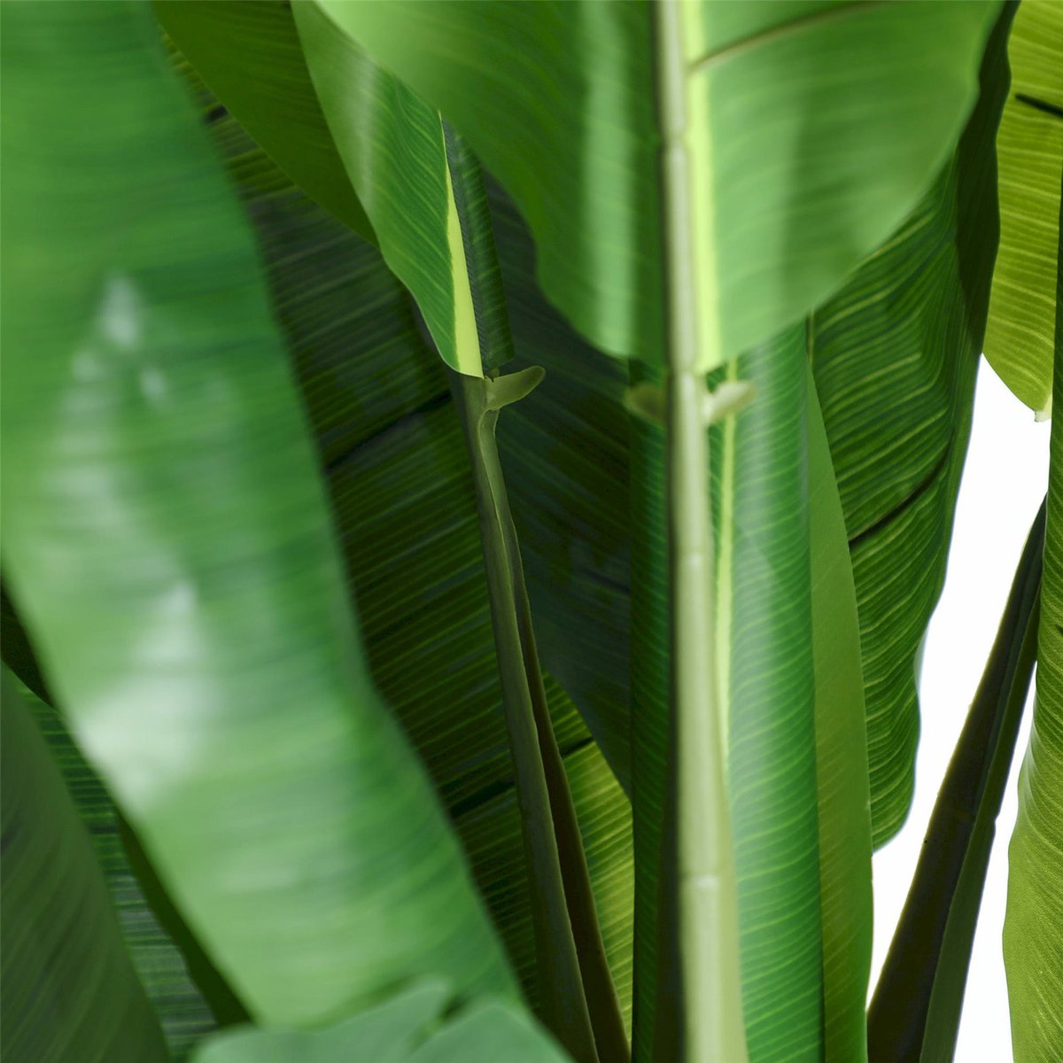 Bananier artificiel collection VACIO vert, RECOLLECTION