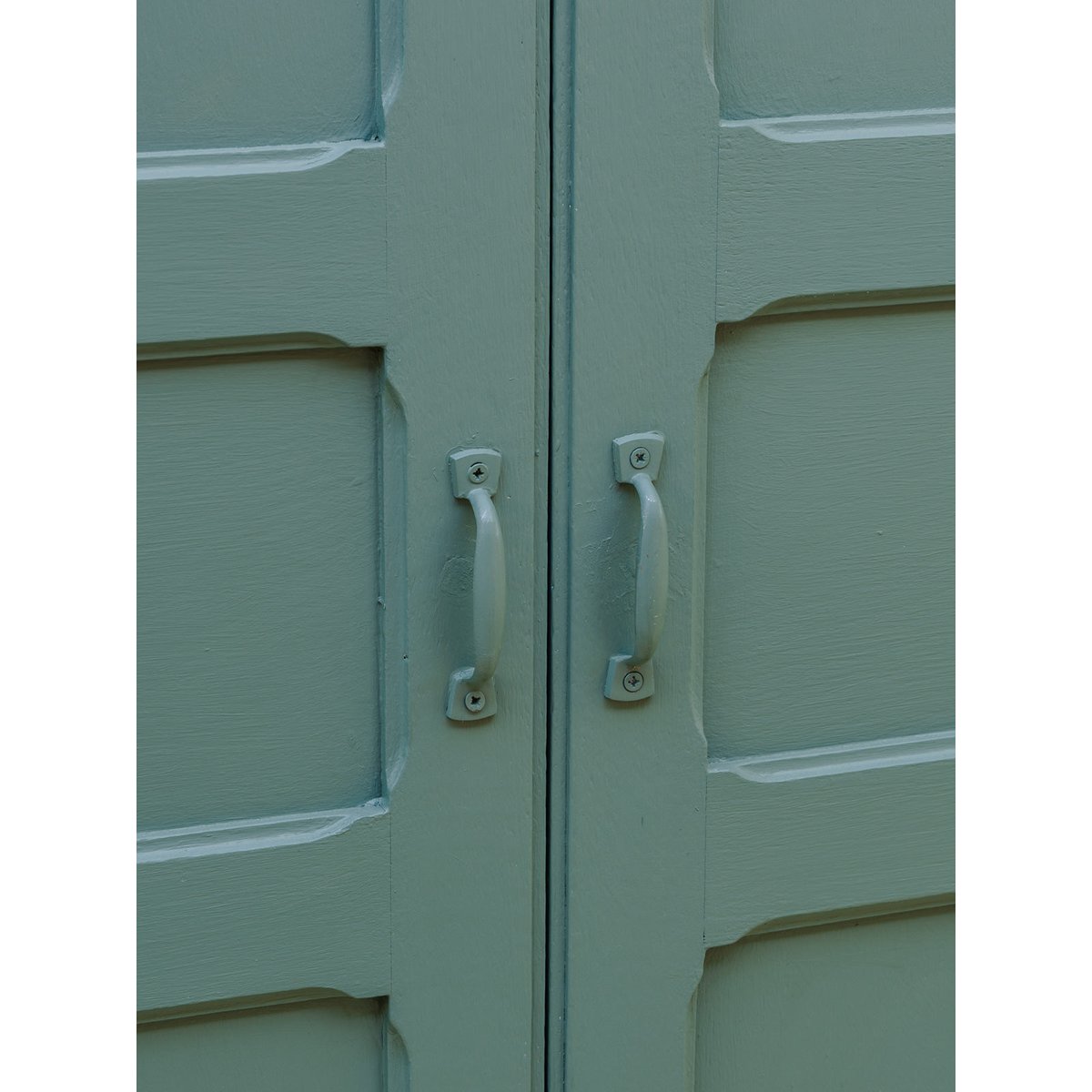 Armoire en bois vert Blandine N°527 - Bon état vert, DEBONGOUT