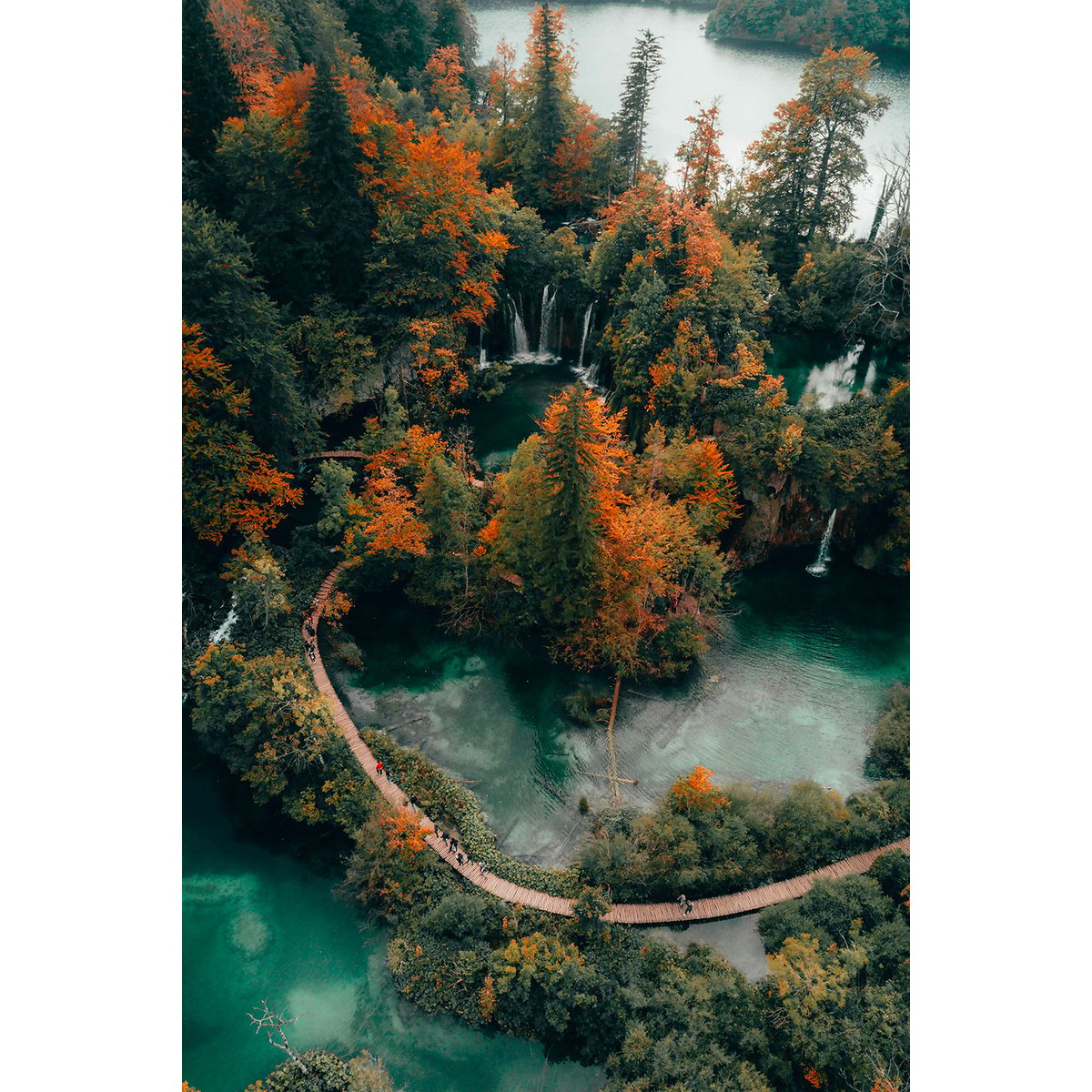 Tableau montagne lac et forêt en automne tableau alu dibond, HEXOA
