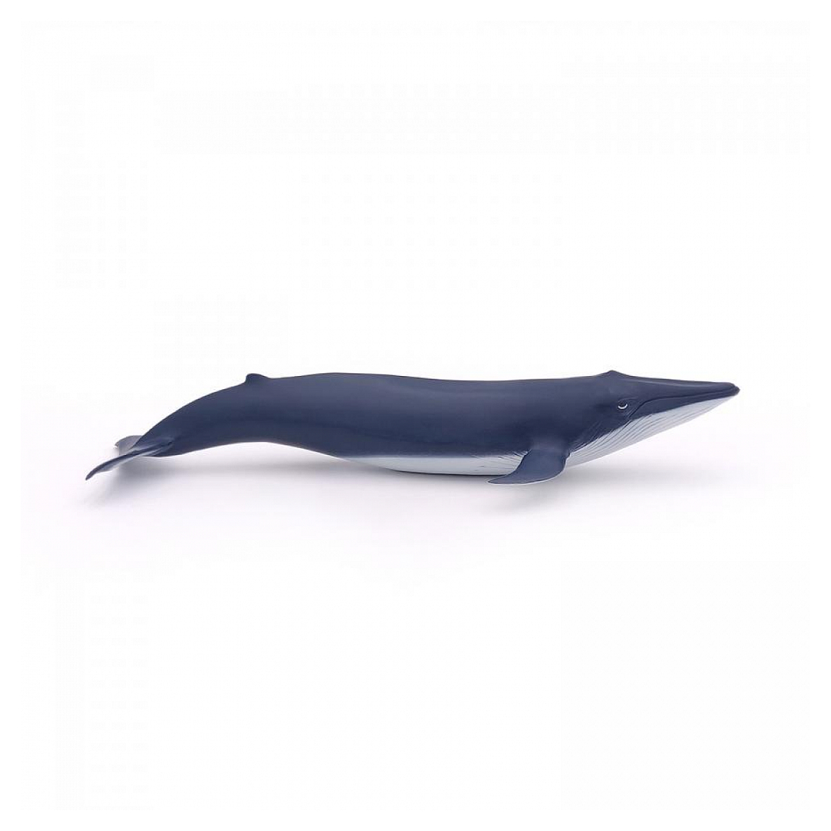 Figurine Bébé baleine bleue bleu, PAPO