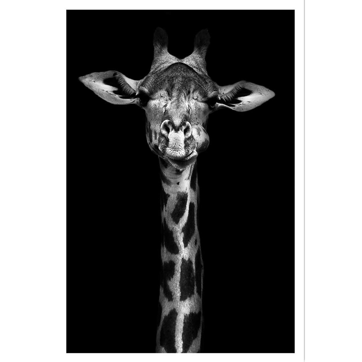Affiche girafe haute en portrait affiche seule, HEXOA