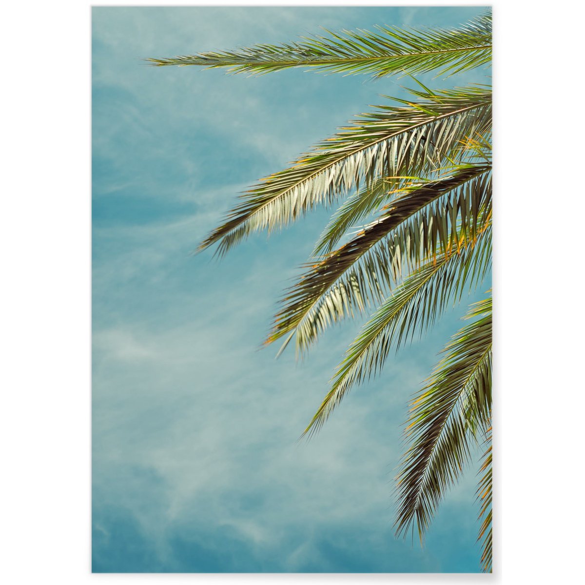 Poster Palm Trees 4 blanc, L'AFFICHERIE