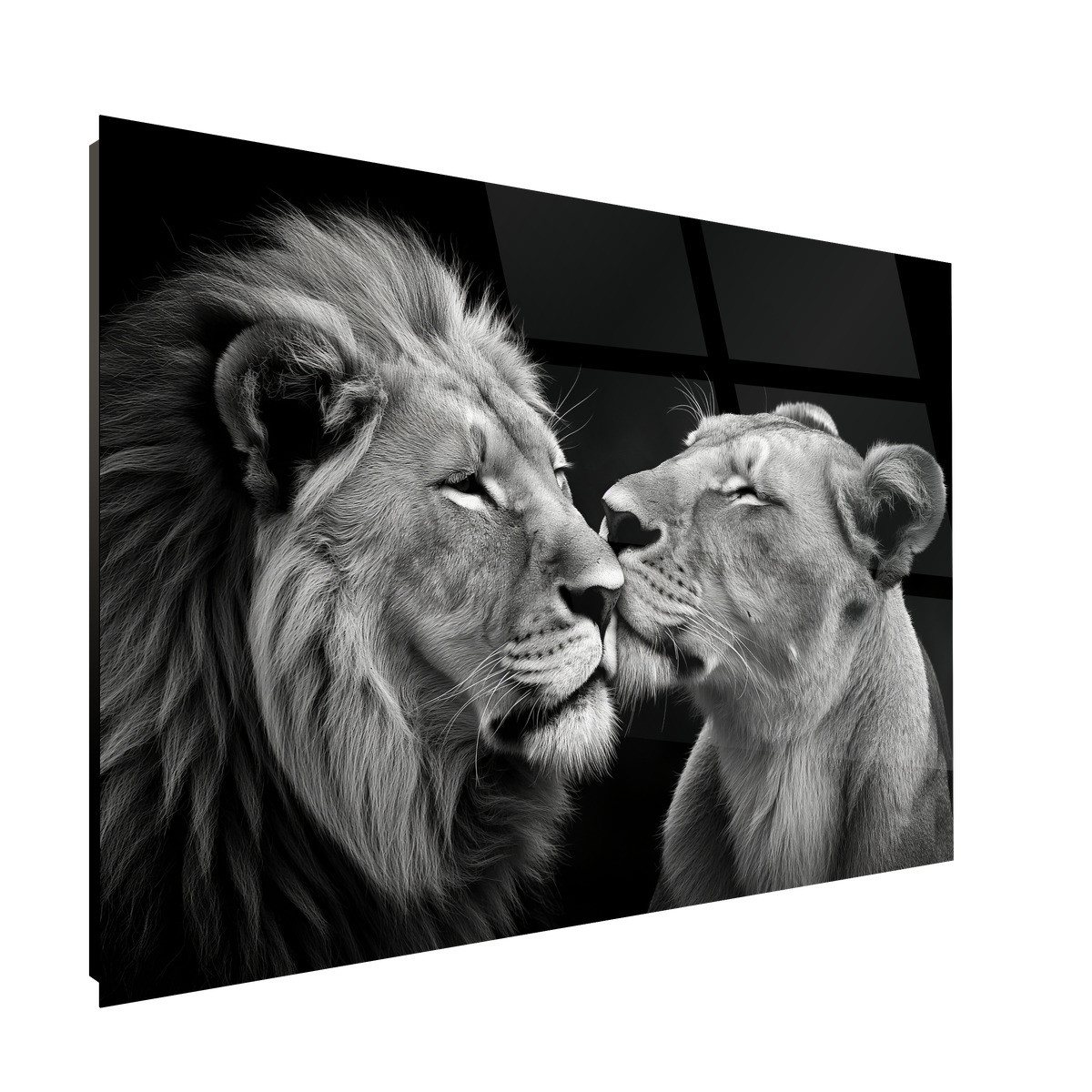 Tableau Sur Verre Synthétique Lion Et Lionne Amoureux ANIMAUX tableau en verre synthétique, CEANOTHE