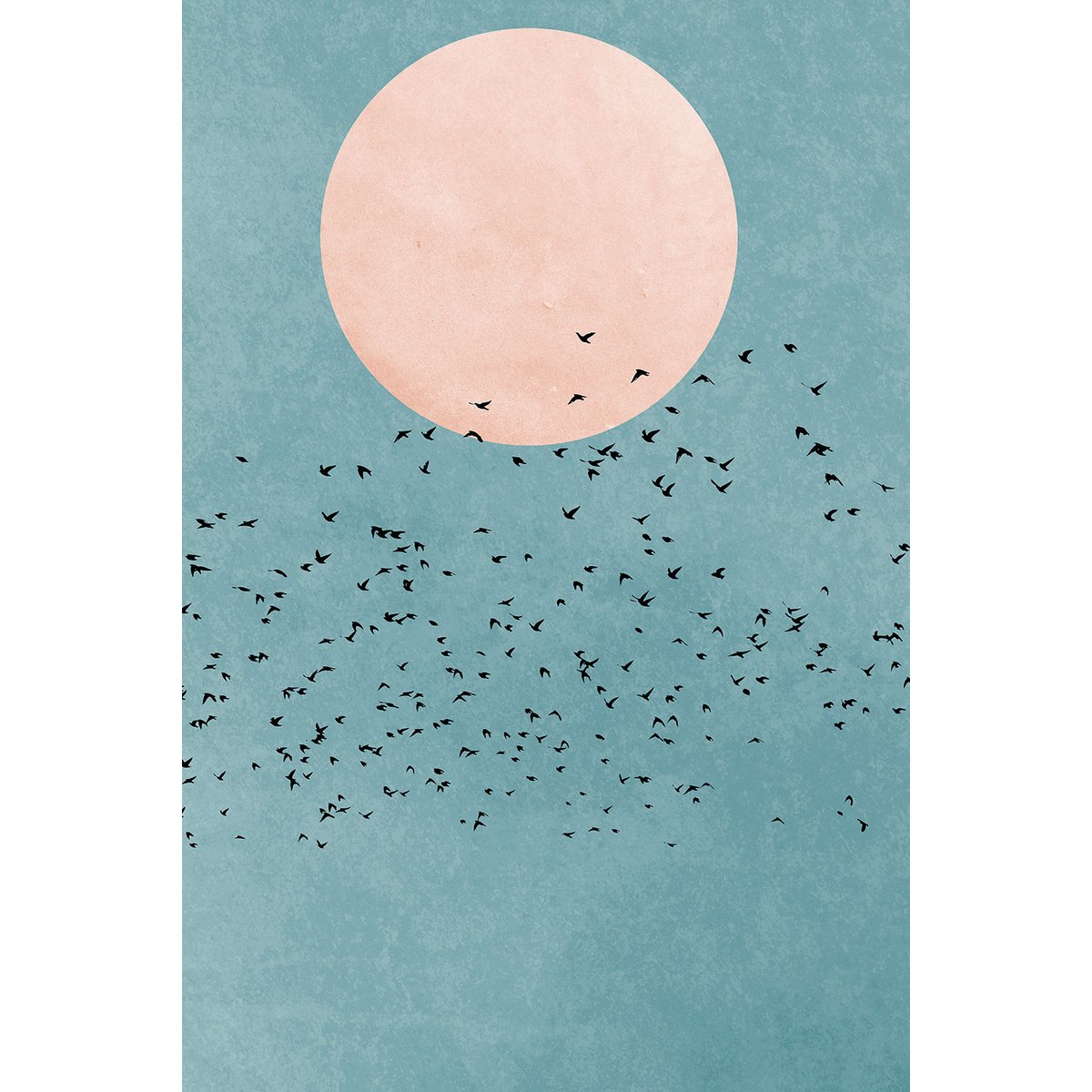 Tableau paysage Beauté du jour tableau alu dibond, HEXOA
