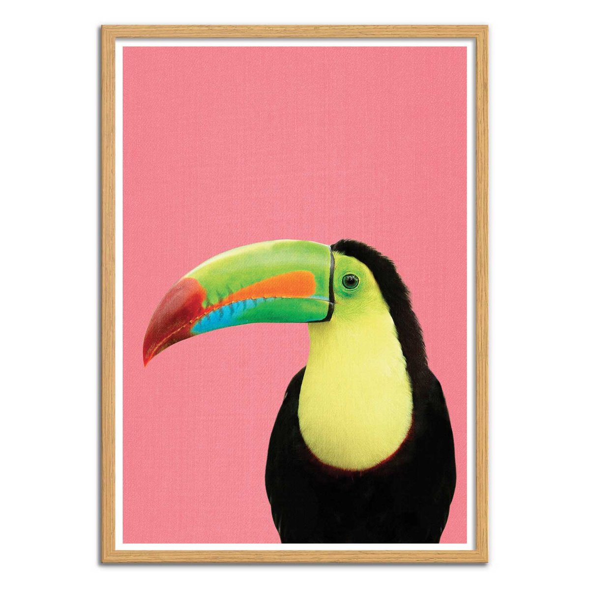Affiche d'art - Toucan bird in pink - Gal Design rose, WALL EDITIONS