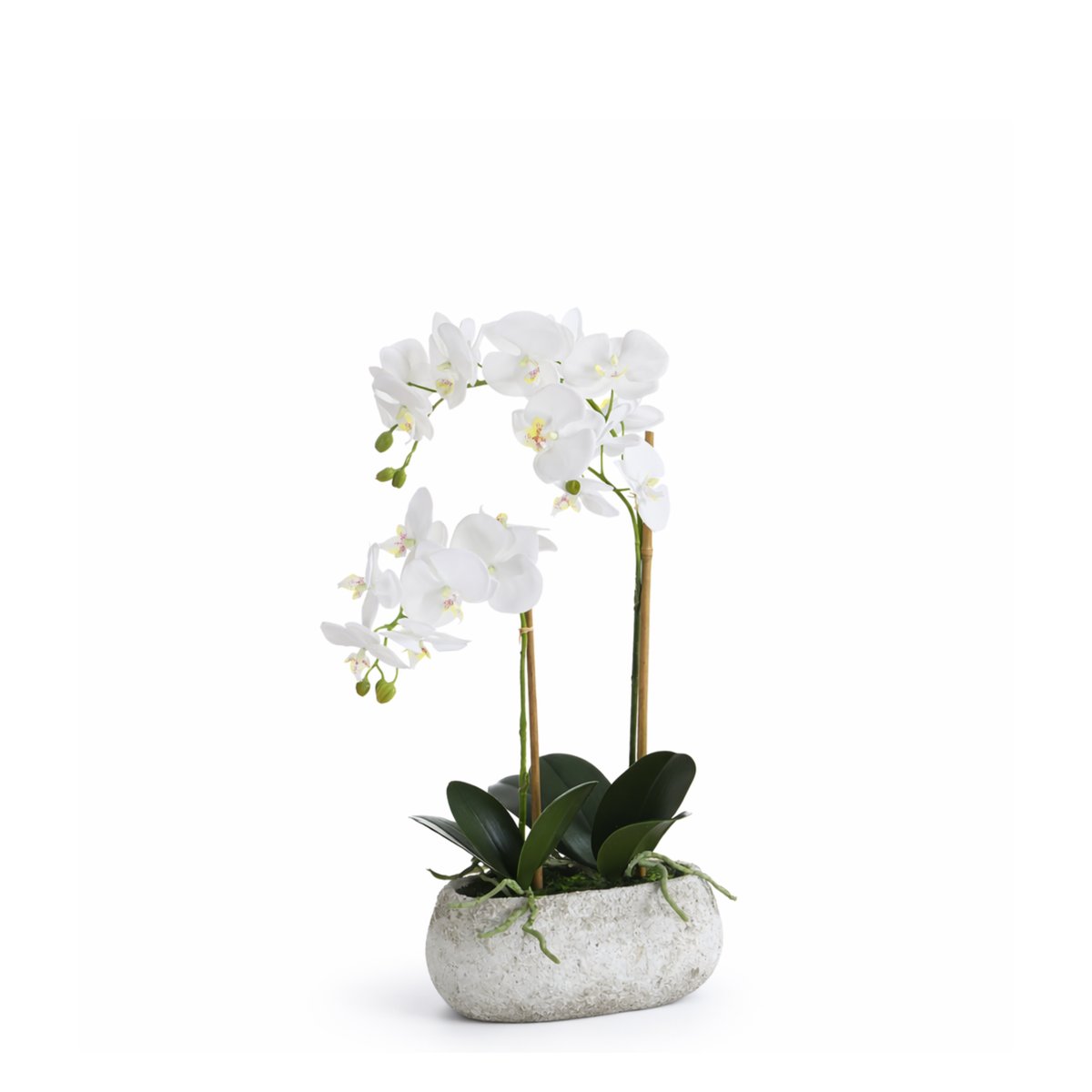 Composition d'orchidée en pot artificielle H65 SERENA blanc, SIA DECO