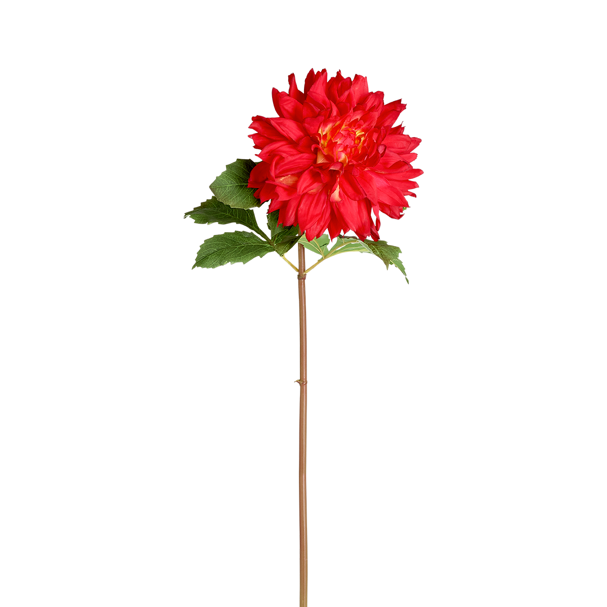 Tige de dahlia artificielle H70 MONICA rouge, SIA DECO