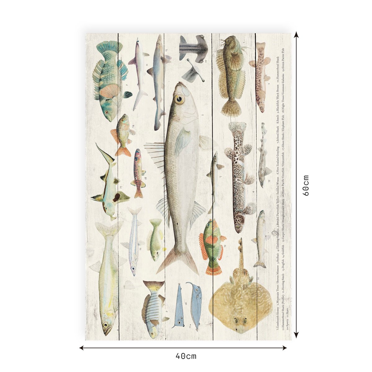 Panneau décoratif en bois POISSON poissons, REALLY NICE THINGS