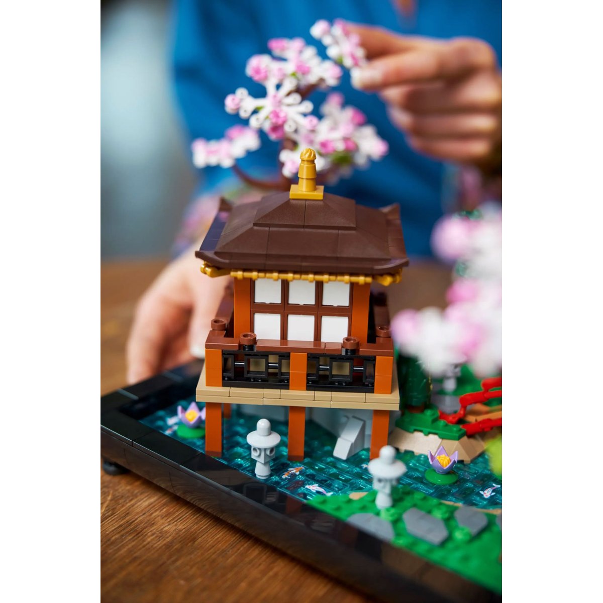 LEGO Icons - Jardin paisible 10315 : Un Échappatoire Zen pour Adultes multicolore, LEGO