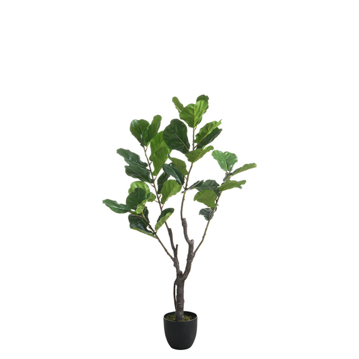 Ficus en pot artificiel H150 vert, SIA DECO