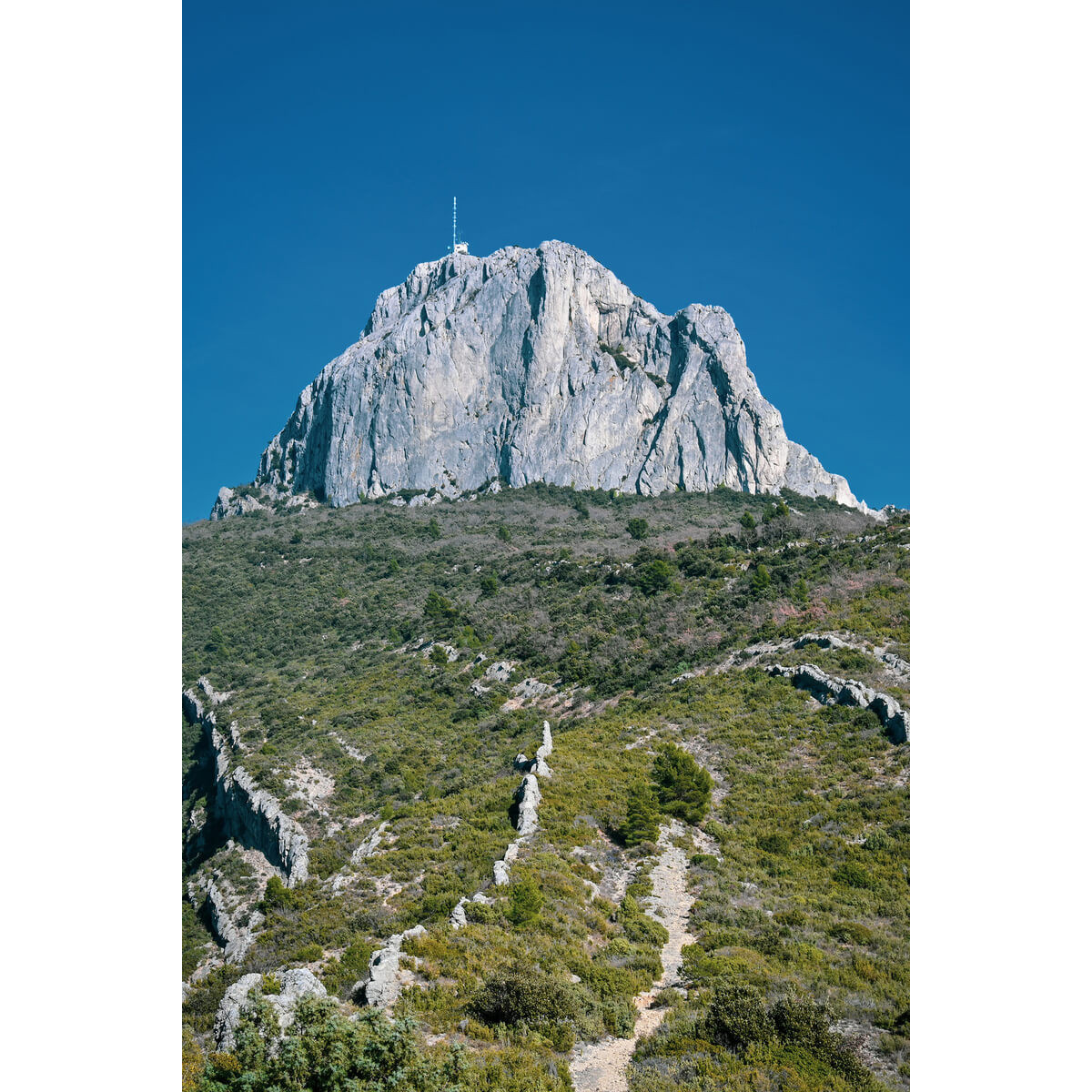 Tableau Mural Montagne D'aubagne PLAGE tableaux sur toile-vert, CEANOTHE