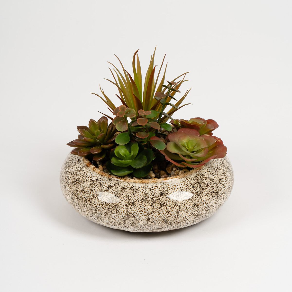 20cm Succulent Bowl green, SO'HOME