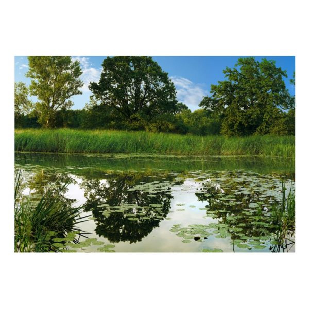 Papier peint intissé panoramique Paysage The Magic Pond bleu, EDEN