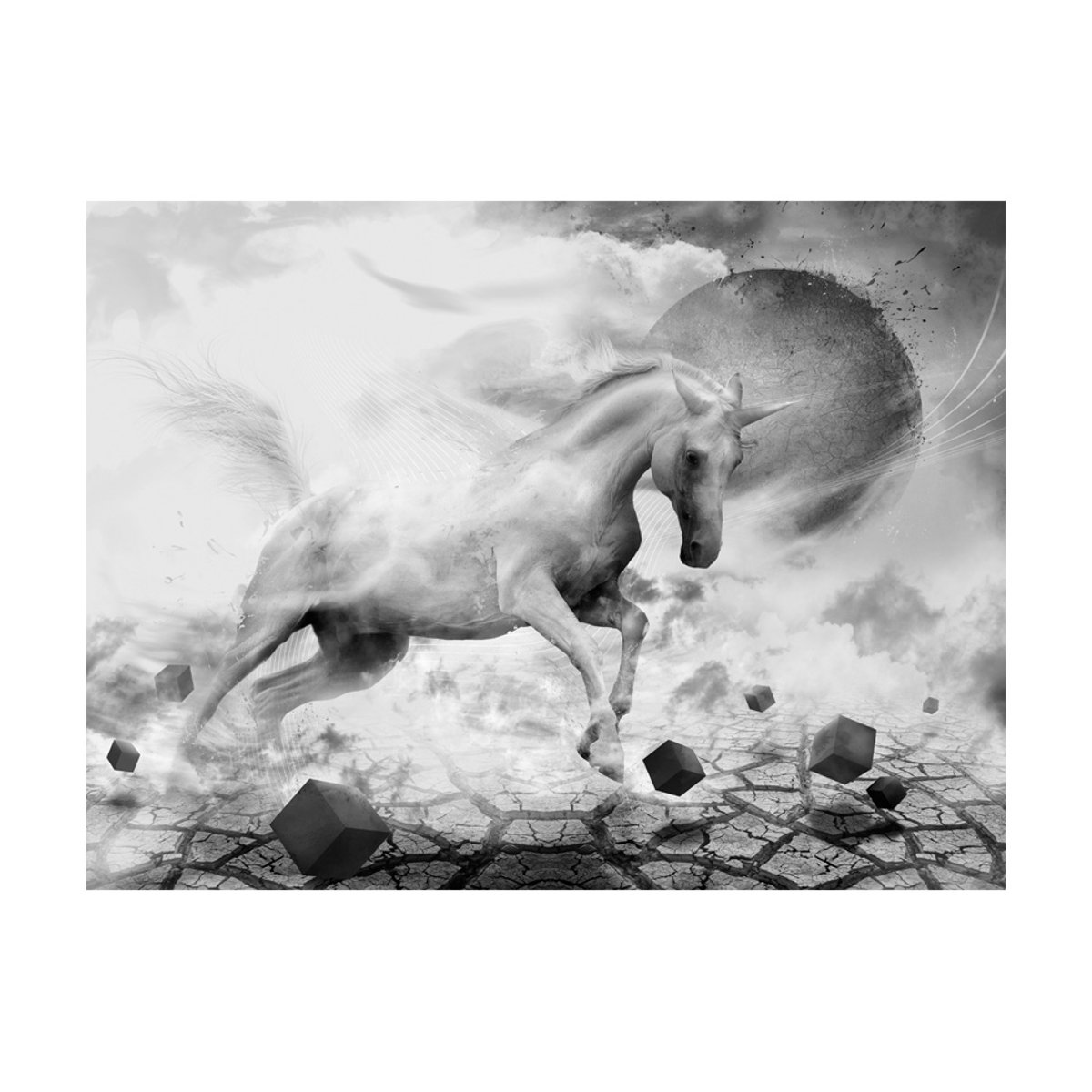 Papier peint intissé panoramique Fantaisie Unicorn gris / argent, EDEN