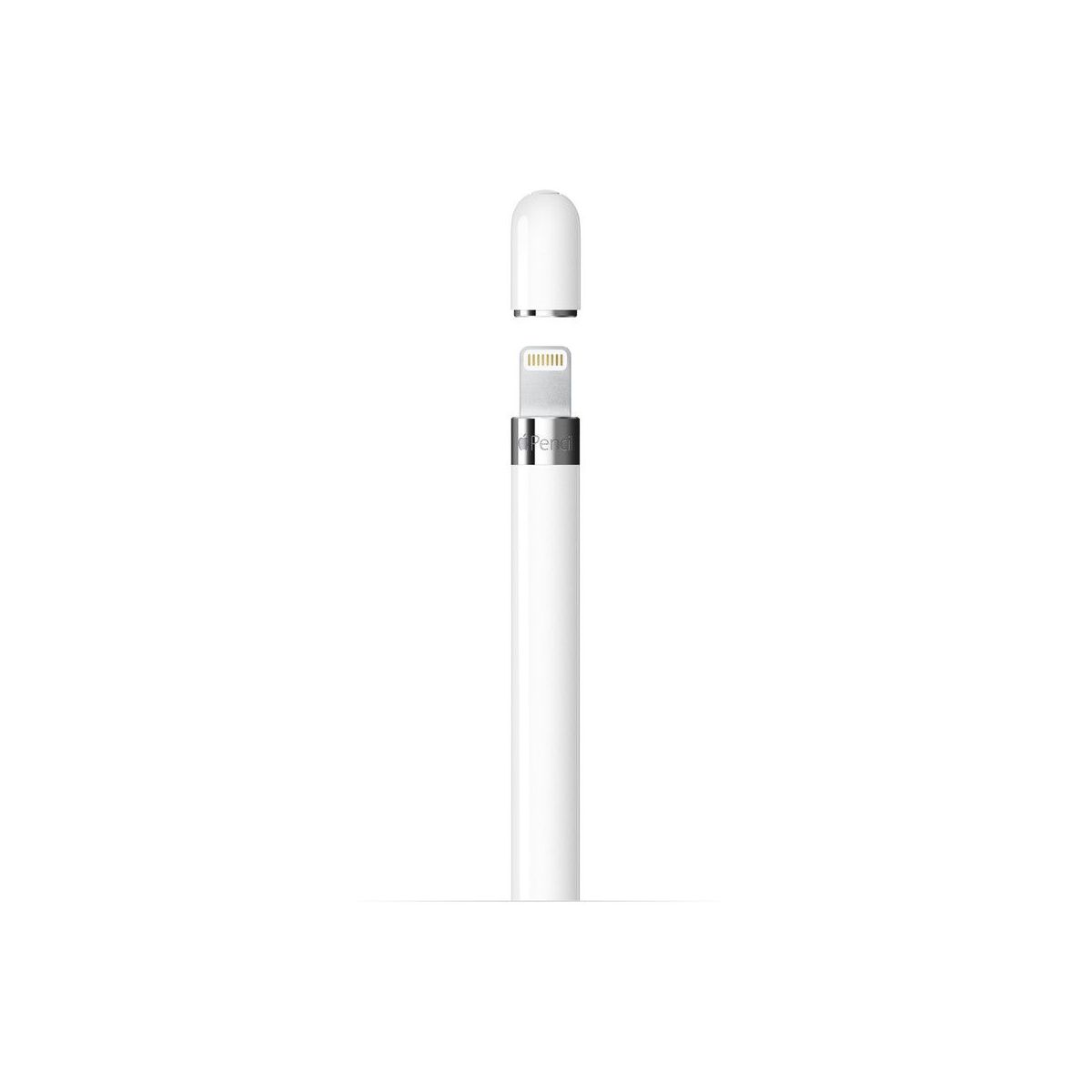 Stylet Pencil 1ere Generation couleur unique, APPLE