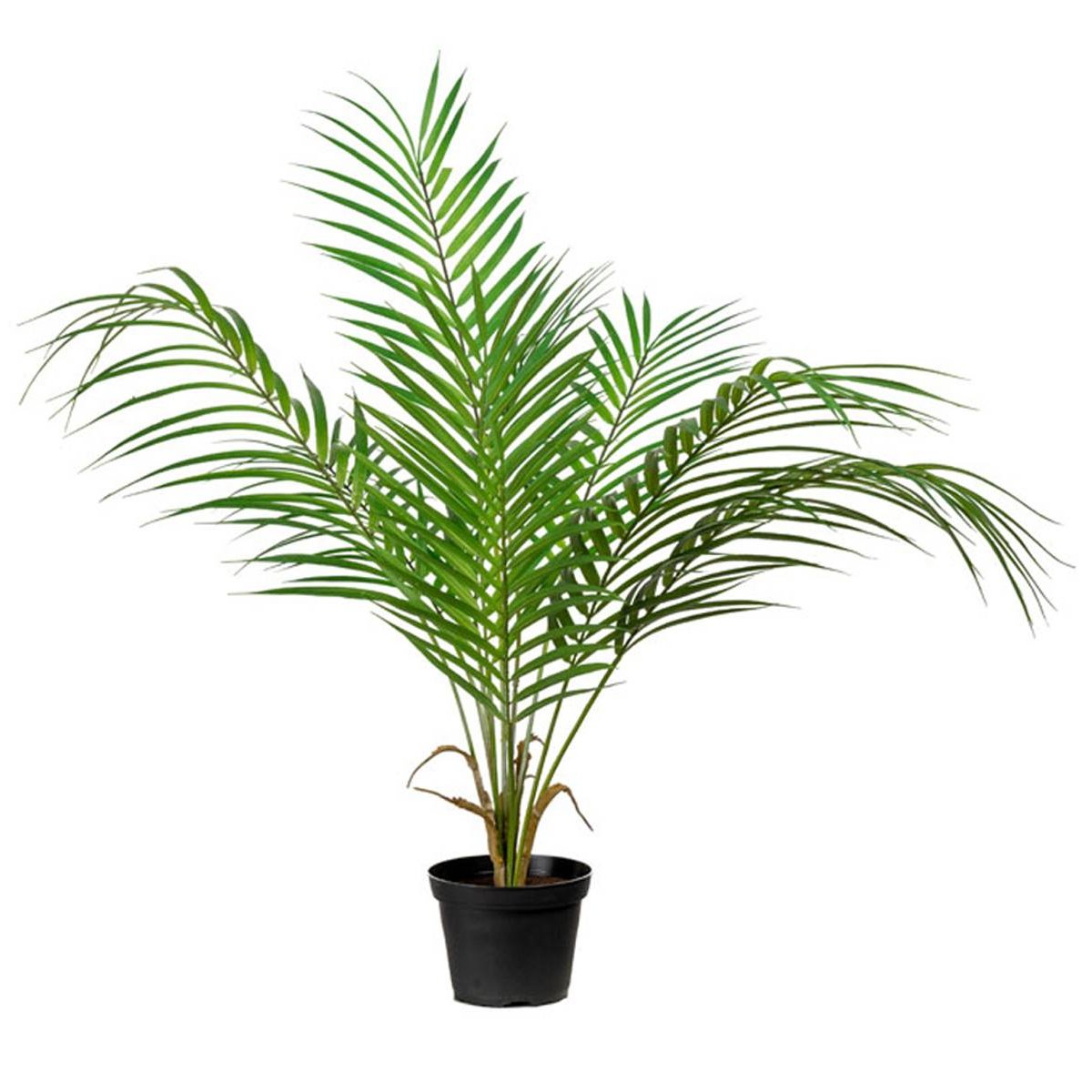 Palmier Areca artificiel, grandes palmes v002239, ARTIFICIELLES
