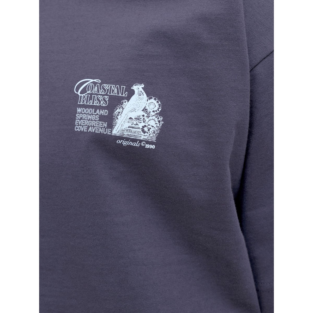 T-Shirt odyssey gray, JACK & JONES