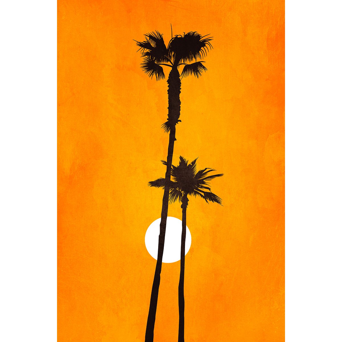 Tableau scandinave Sunset palm tableau alu dibond, HEXOA