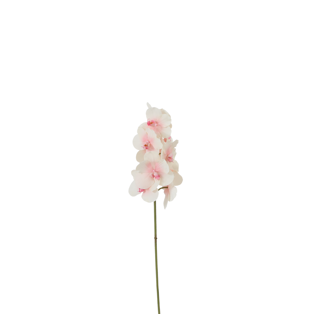 Tige d'orchidée phalaenopsis artificielle H50 rose, SIA DECO
