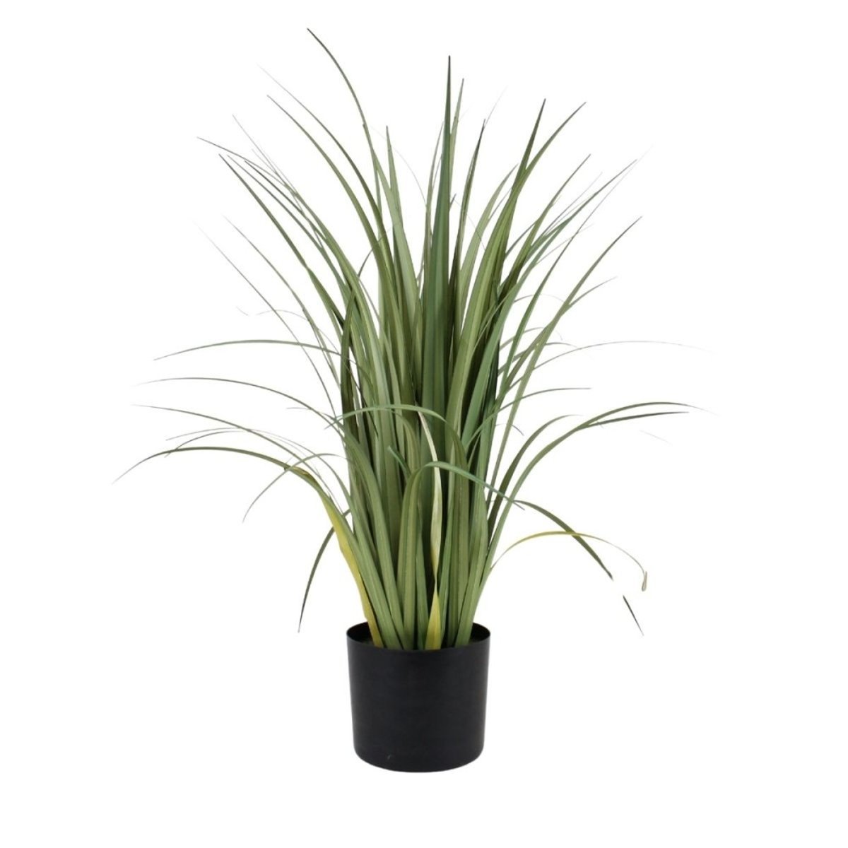 Plante artificielle acorus 80cm vert, ORNAMI