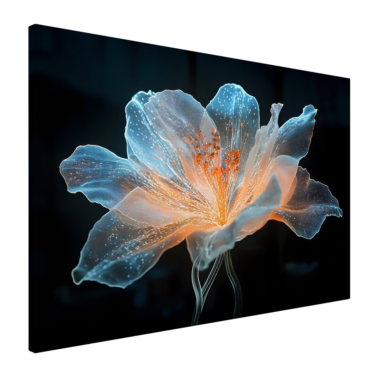 Tableau Sur Toile Fleur Illuminée FLEUR tableaux sur toile-bleu, CEANOTHE