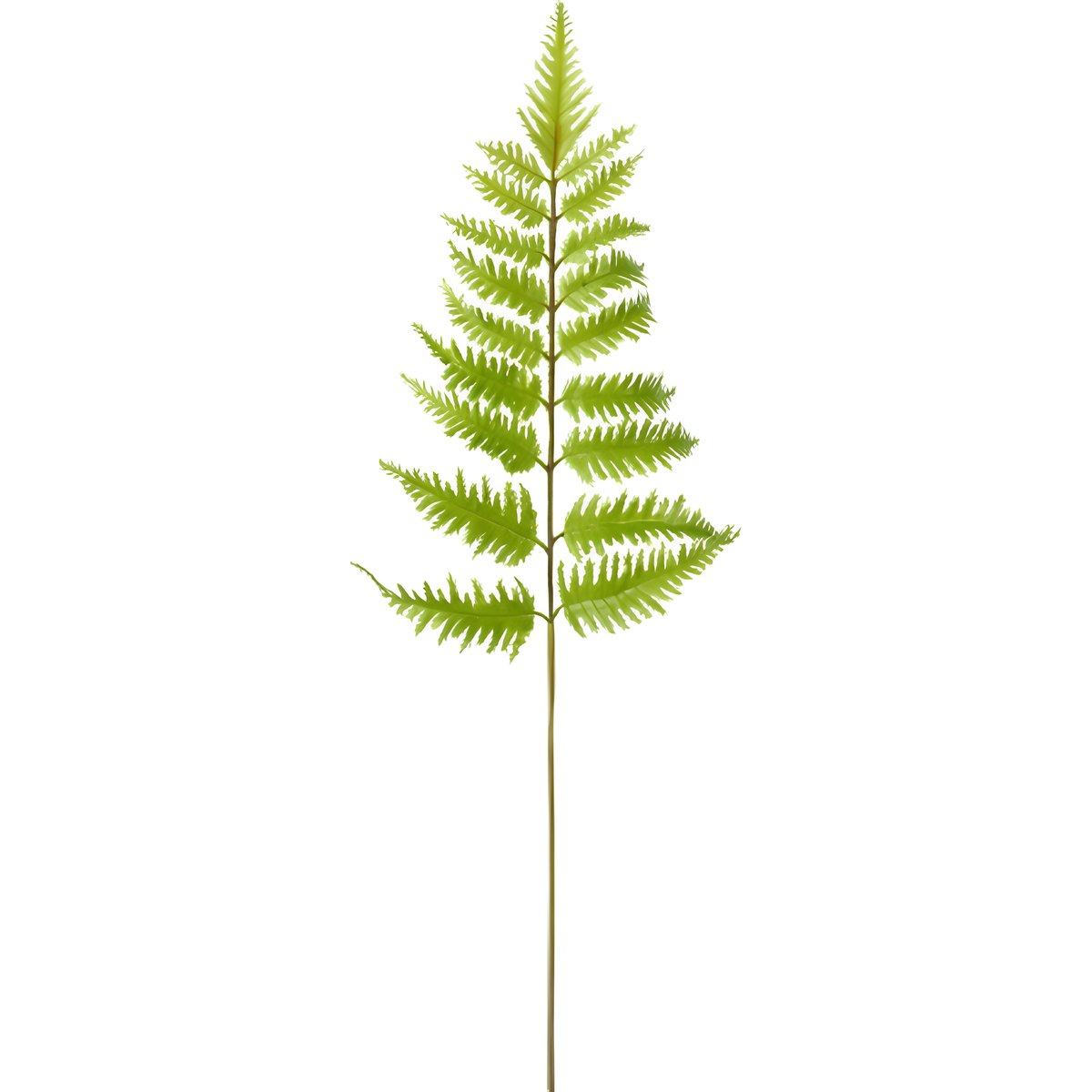 Tige de fougère artificielle H55 vert, SIA DECO