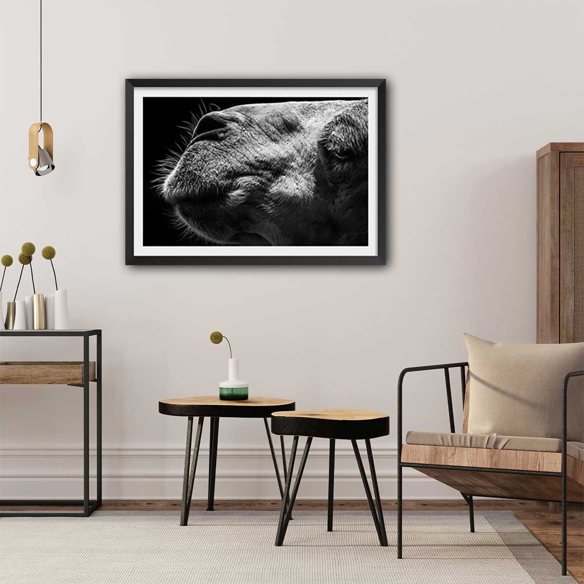 Poster animaux Portrait de chameau affiche + cadre en bois - noir, HEXOA