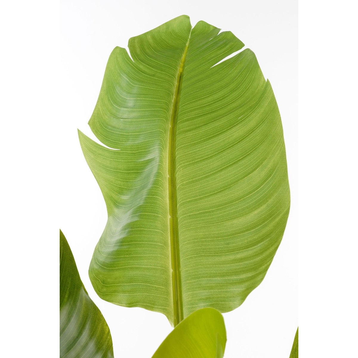 Plante artificielle vert, MICA DECORATIONS