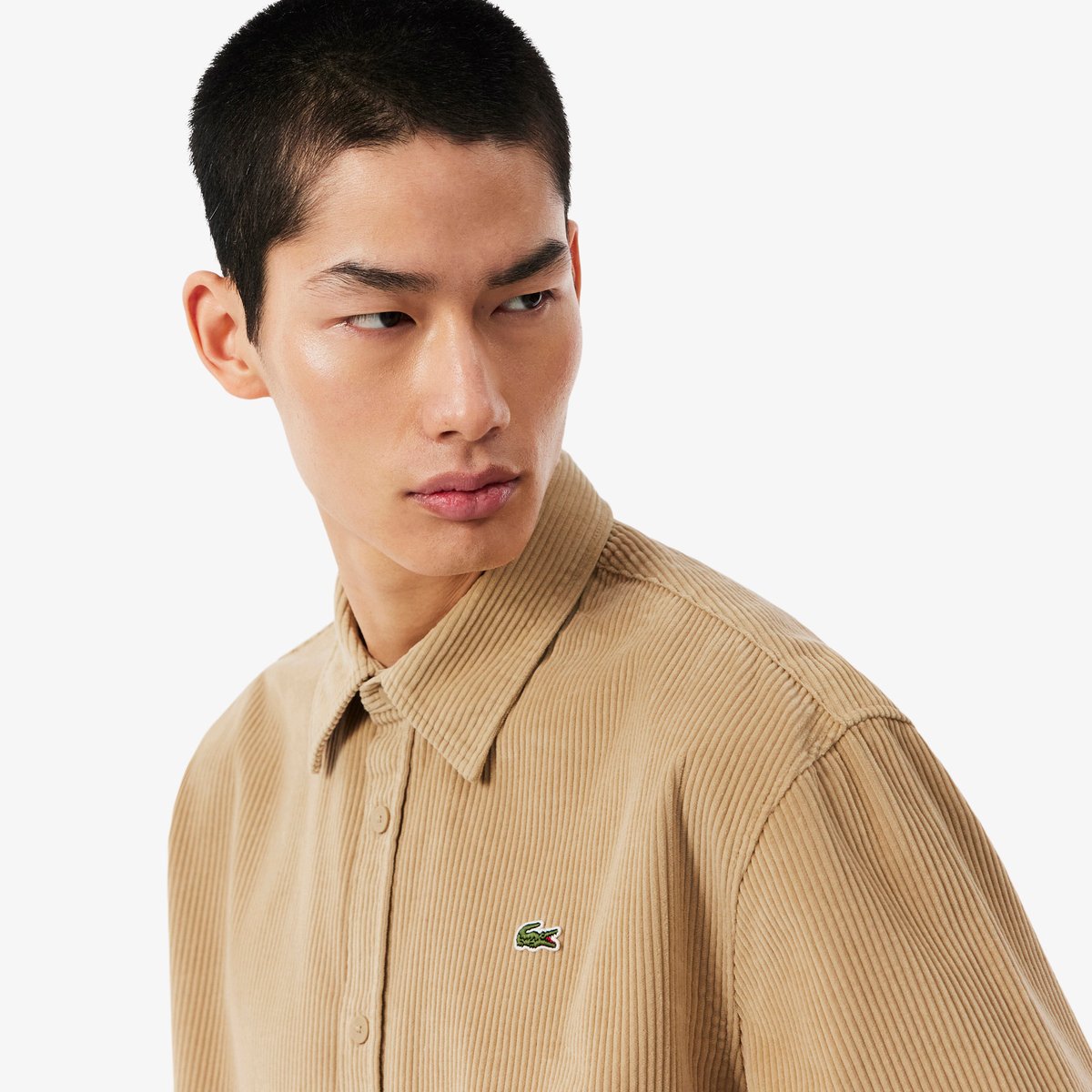 Chemise velours côtelé regular fit beige-02s, LACOSTE