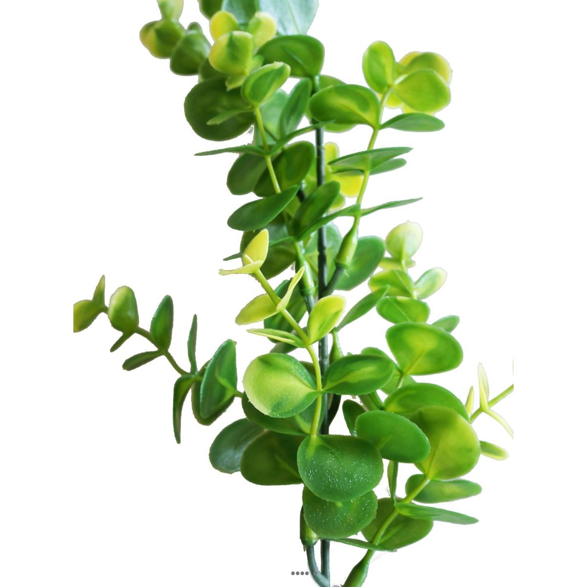 Pic Eucalyptus factice H36cm plastique ext vert-jaune, ARTIFICIELLES