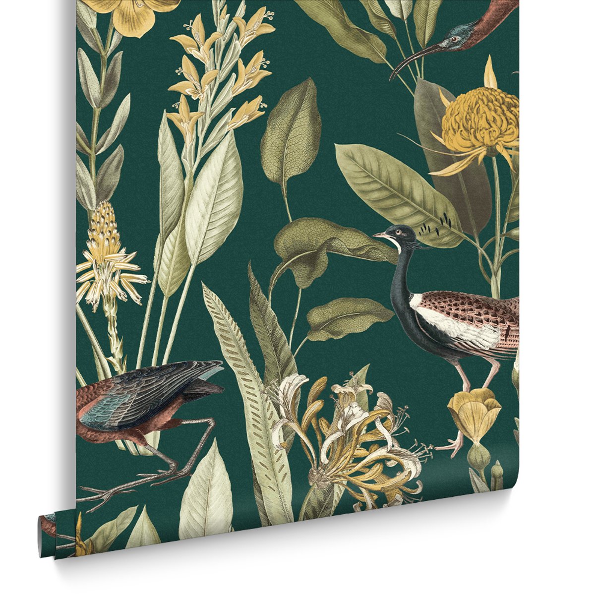 Papier peint Glasshouse Green vert, GRAHAM ET BROWN