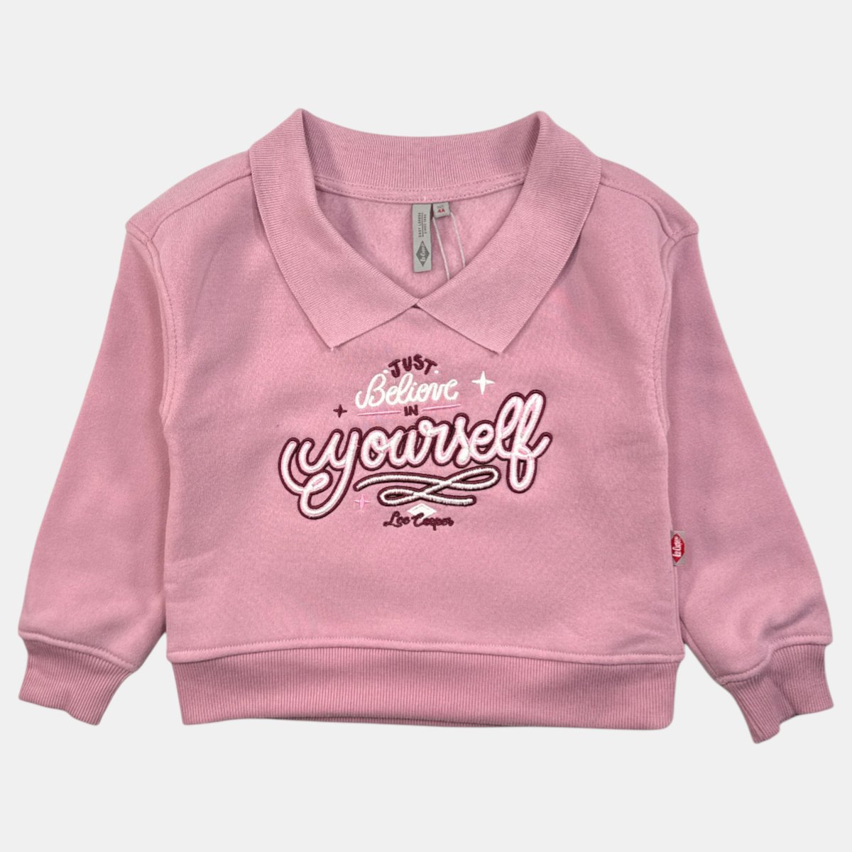 Sweat col rond imprimé, coupe décontractée, manches longues et détails brodés VARSITY rose, LEE COOPER