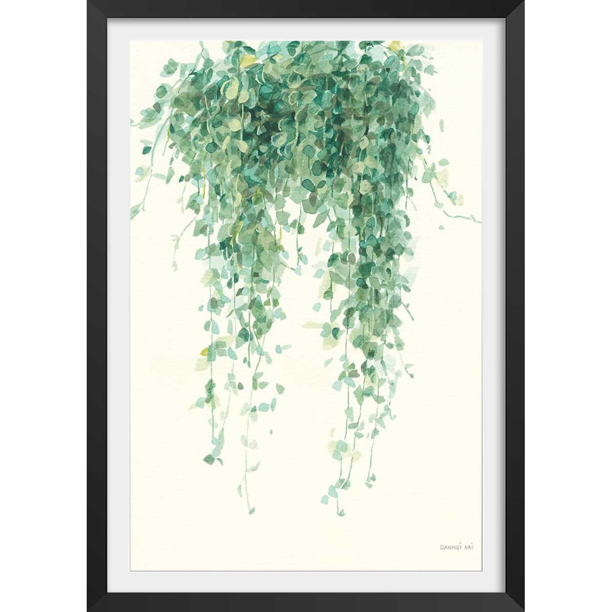 Affiche plante succulente illustrée affiche + cadre en bois - noir, HEXOA