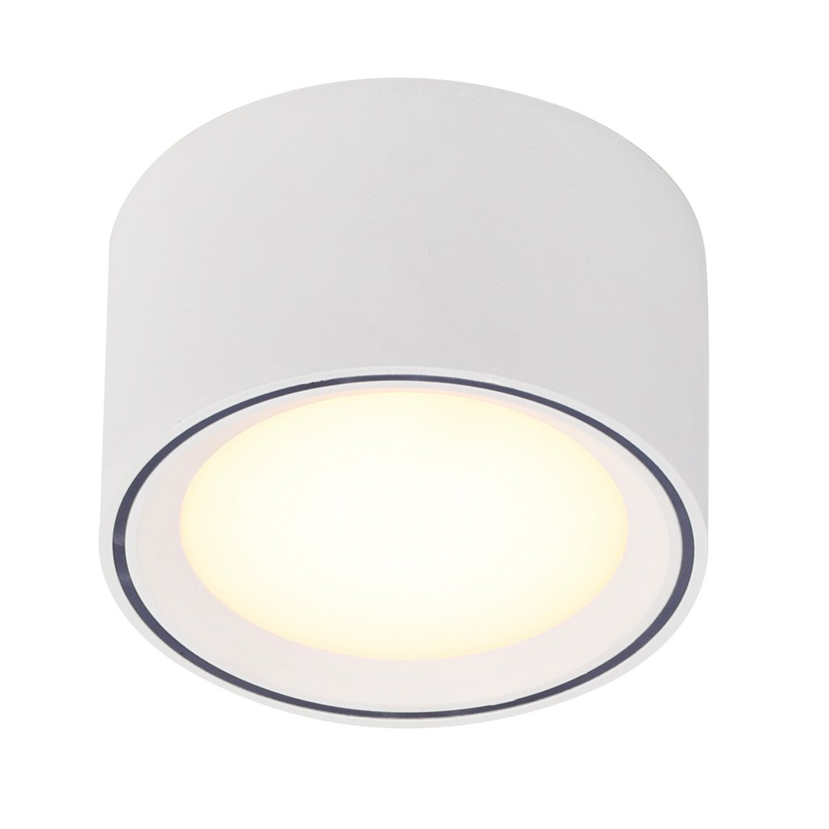 Spot LED pour plafond - gradation Moodmaker™ cylindrique en métal, FALLON blanc, NORDLUX