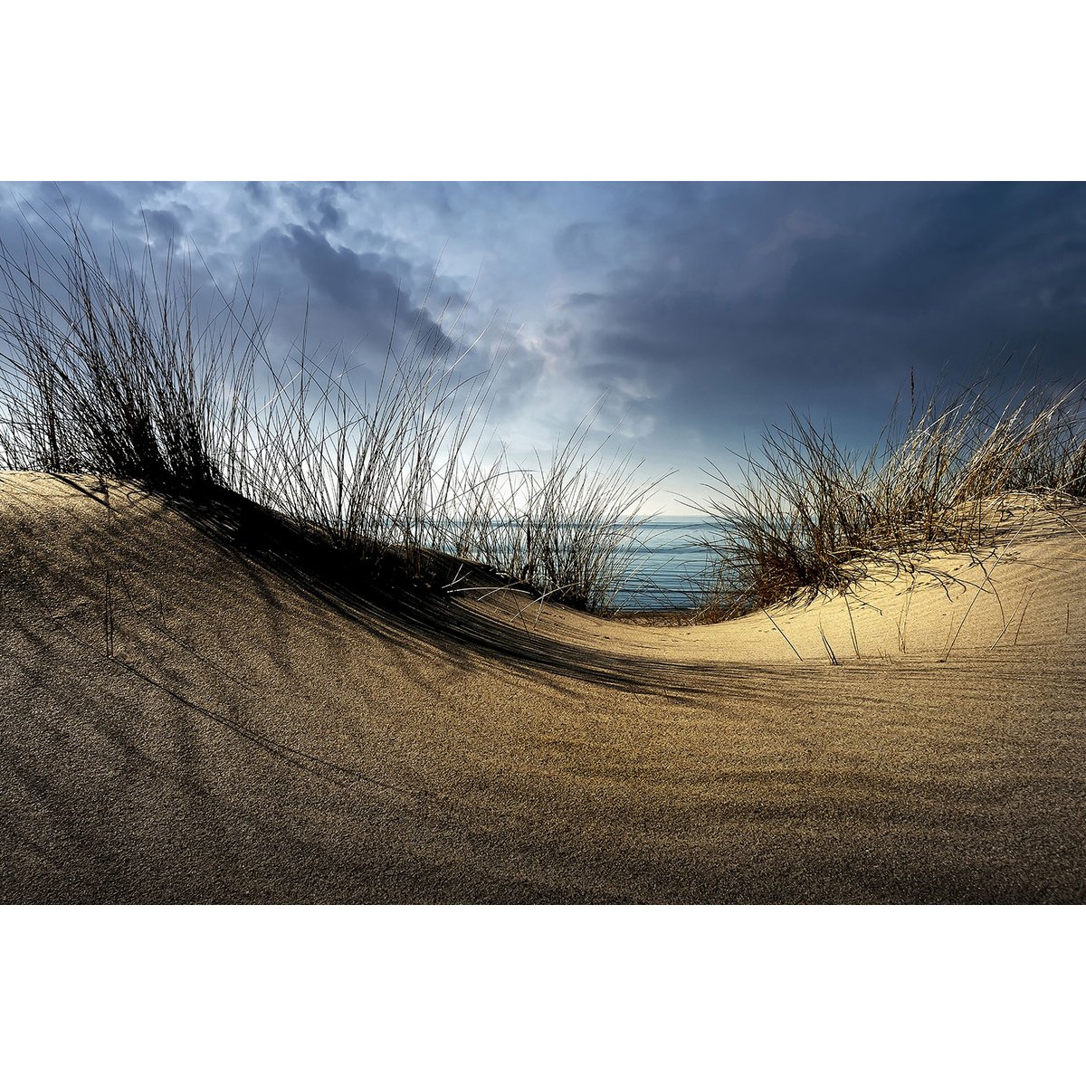 Tableau dunes secrètes tableau alu dibond, HEXOA