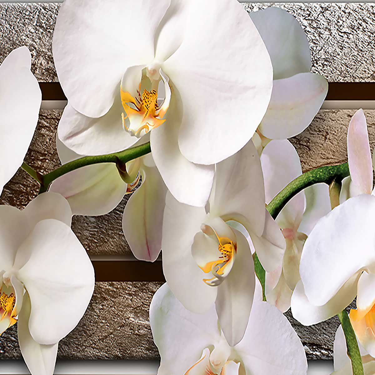 Affiche encadrée orchidées blanches zen affiche + cadre en métal - noir, HEXOA