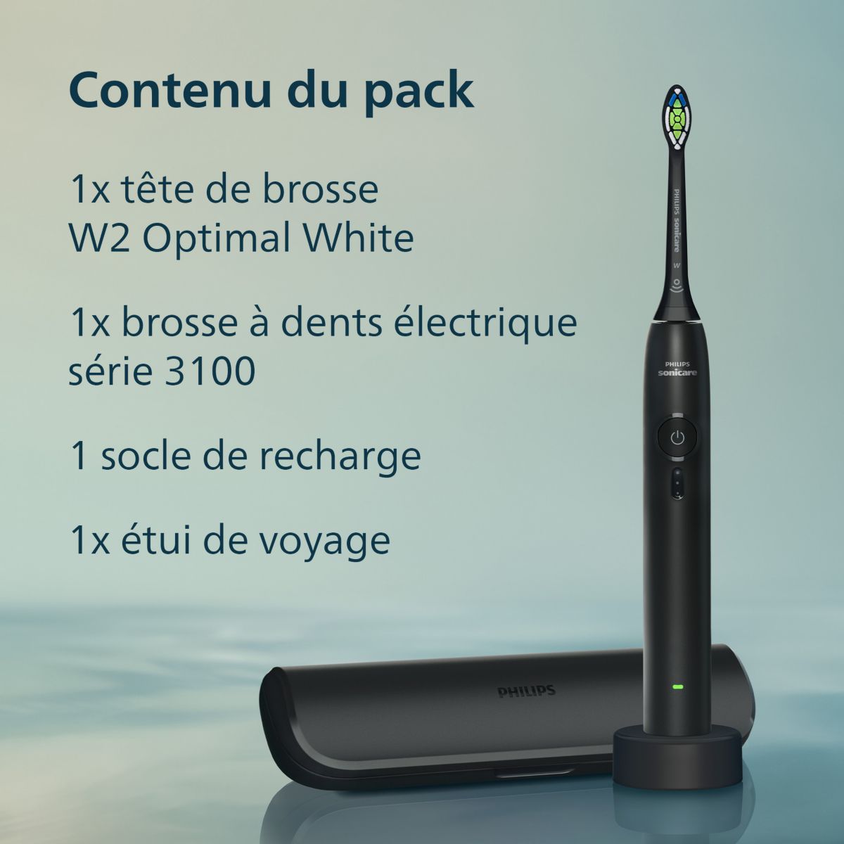 Brosse à dents électrique HX4033/32 Serie 3100 Noire couleur unique, PHILIPS