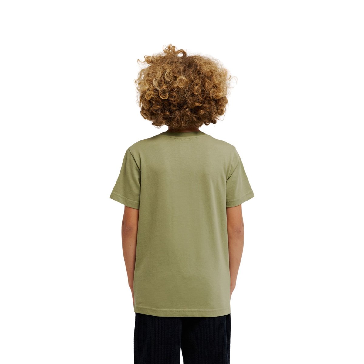 T-Shirt manches courtes. vert oil green, DC SHOES