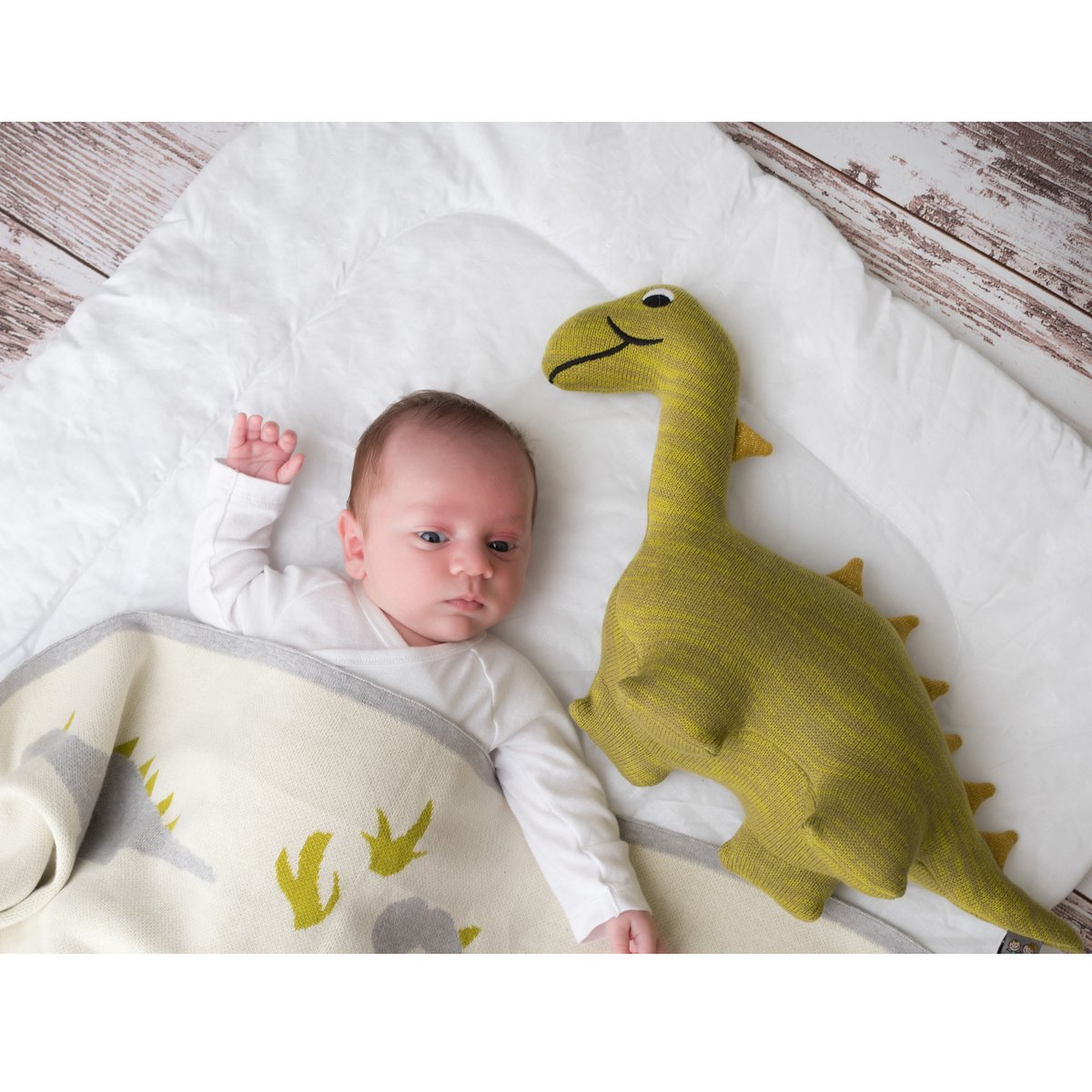 Couverture plaid en coton bio TRICOT écru, dino, SEVIRA KIDS