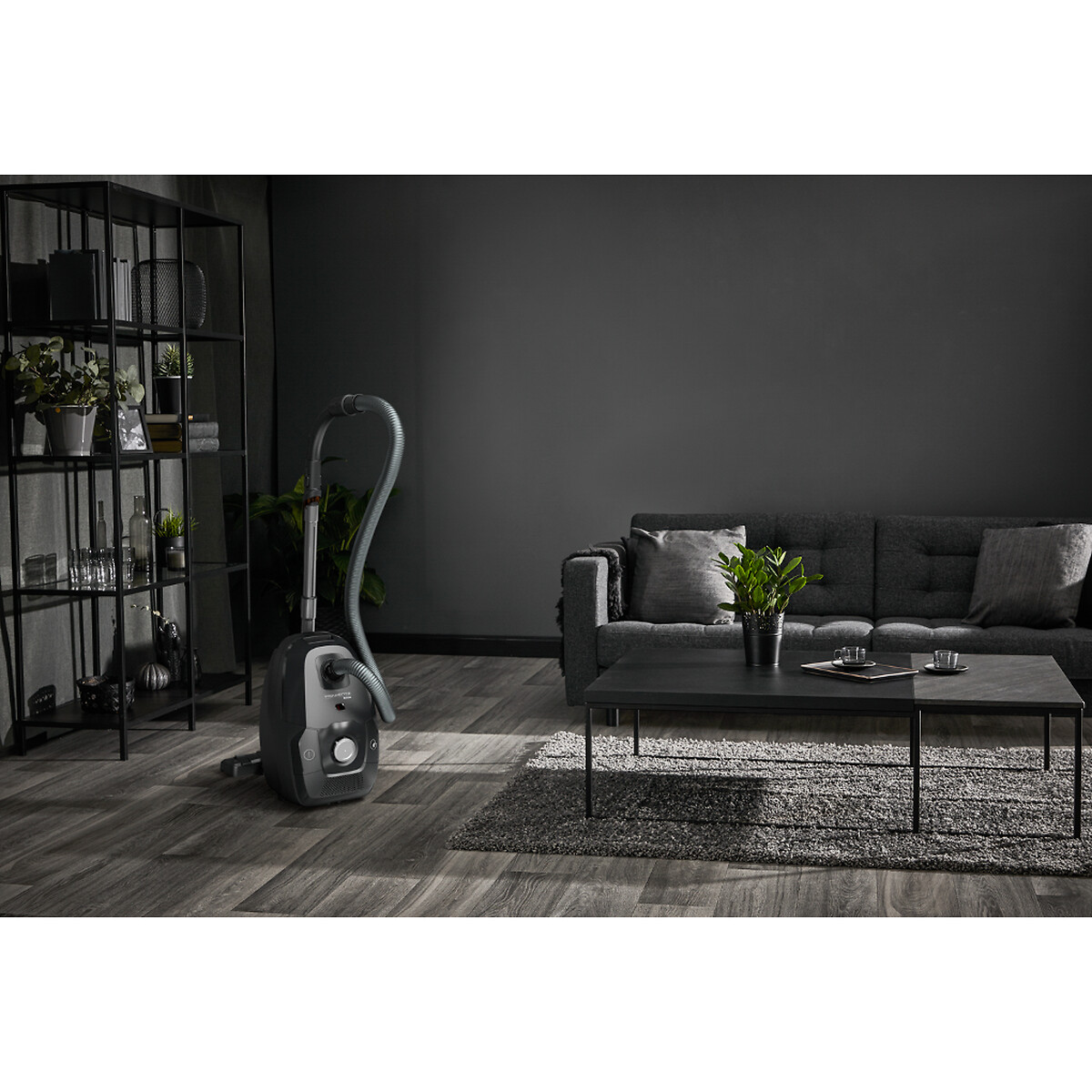 Aspirateur avec sac Green Force RO6136EA aluminium/noir, ROWENTA