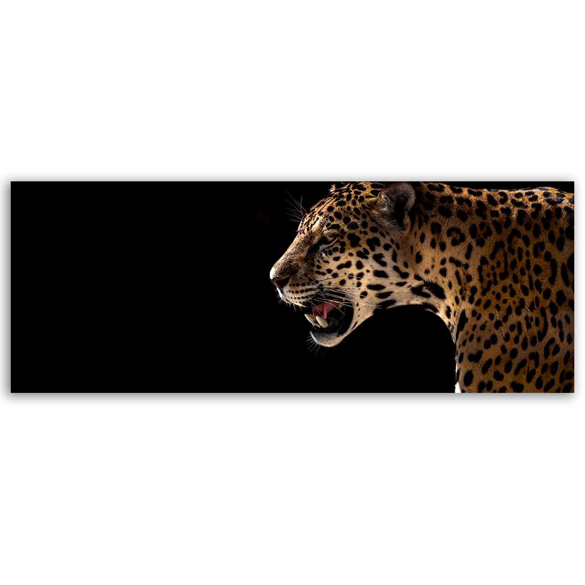 Tableau panoramique léopard sauvage fond noir art animalier toile imprimée, HEXOA