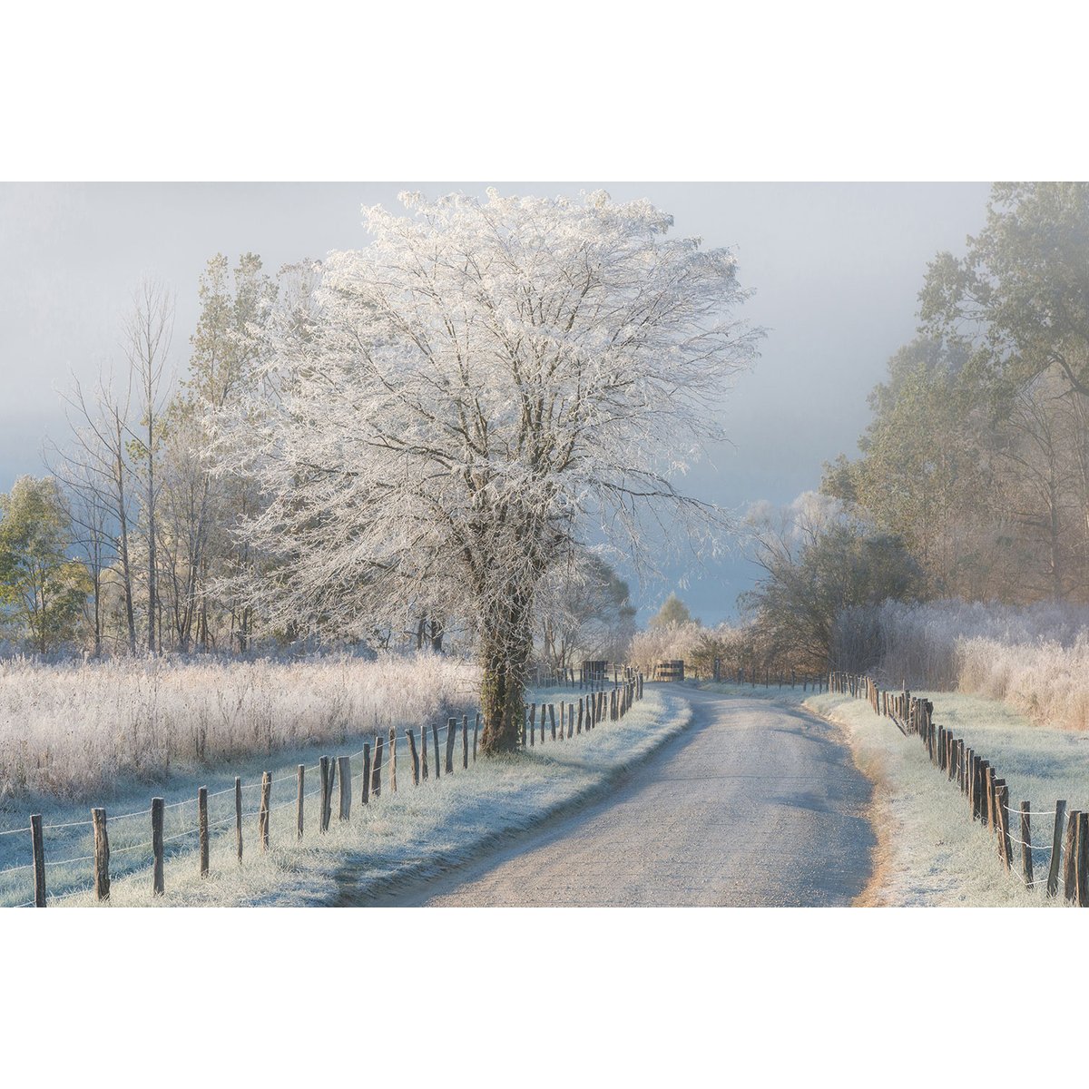 Tableau paysage Un matin glacial tableau alu dibond, HEXOA