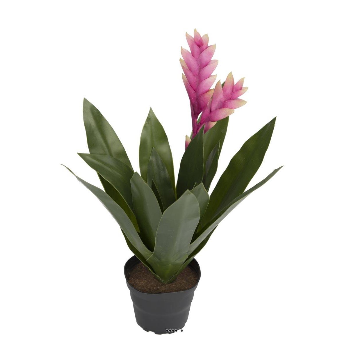 Bromélia fleurie artificielle en pot, H 40 c rose soutenu, ARTIFICIELLES