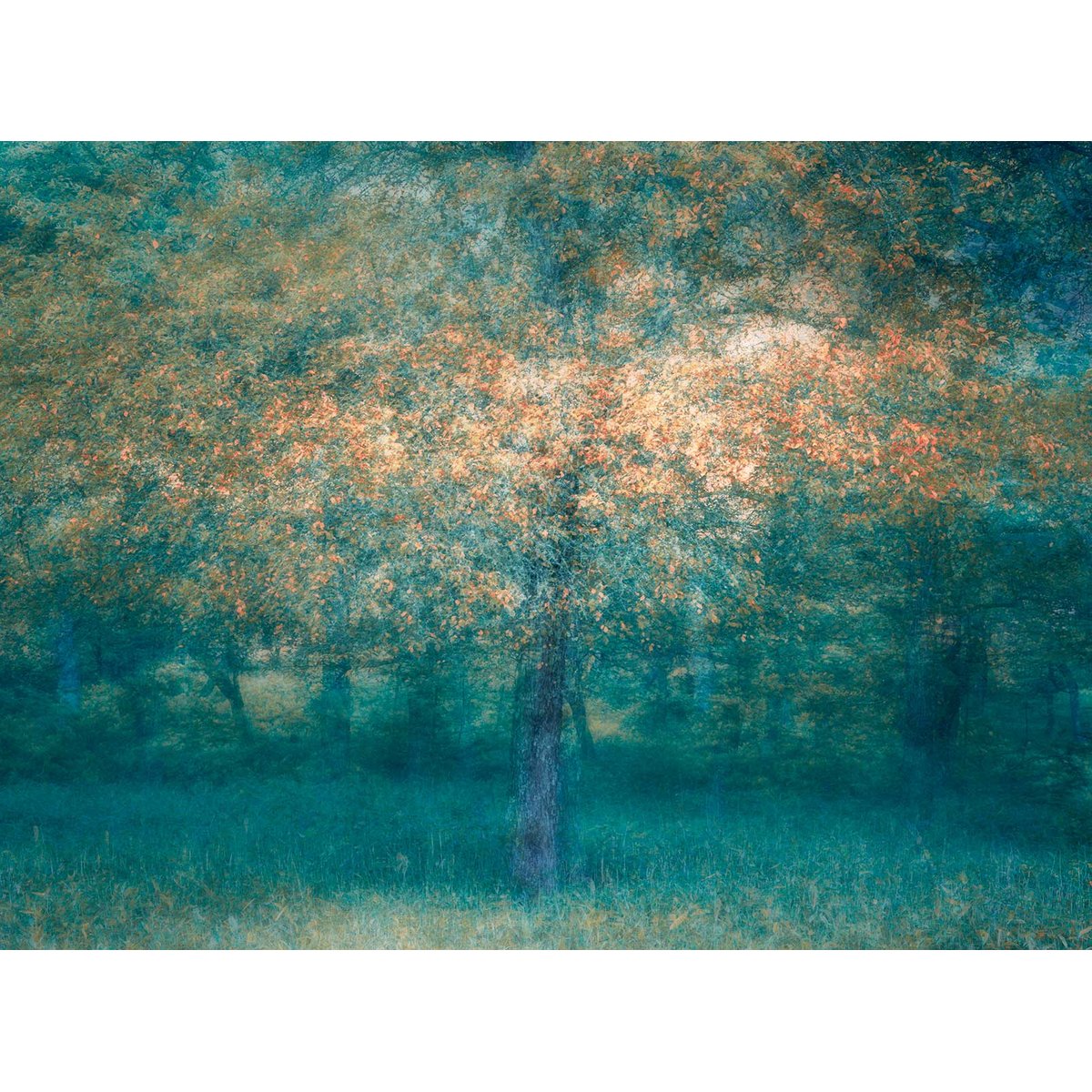 Papier peint panoramique Forêt Bleue vert, HEXOA