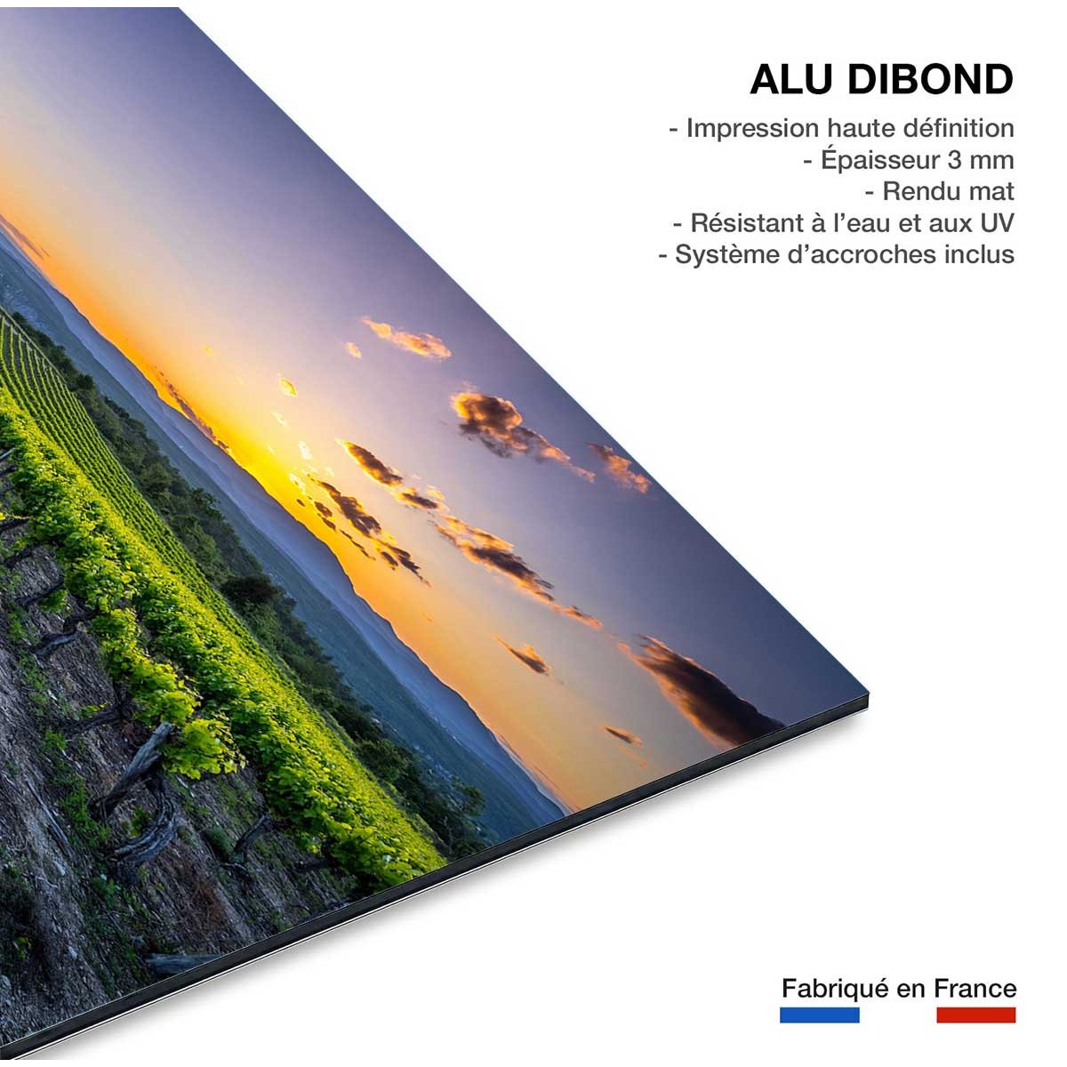 Tableau Tableau photo vineyard tableau alu dibond, HEXOA
