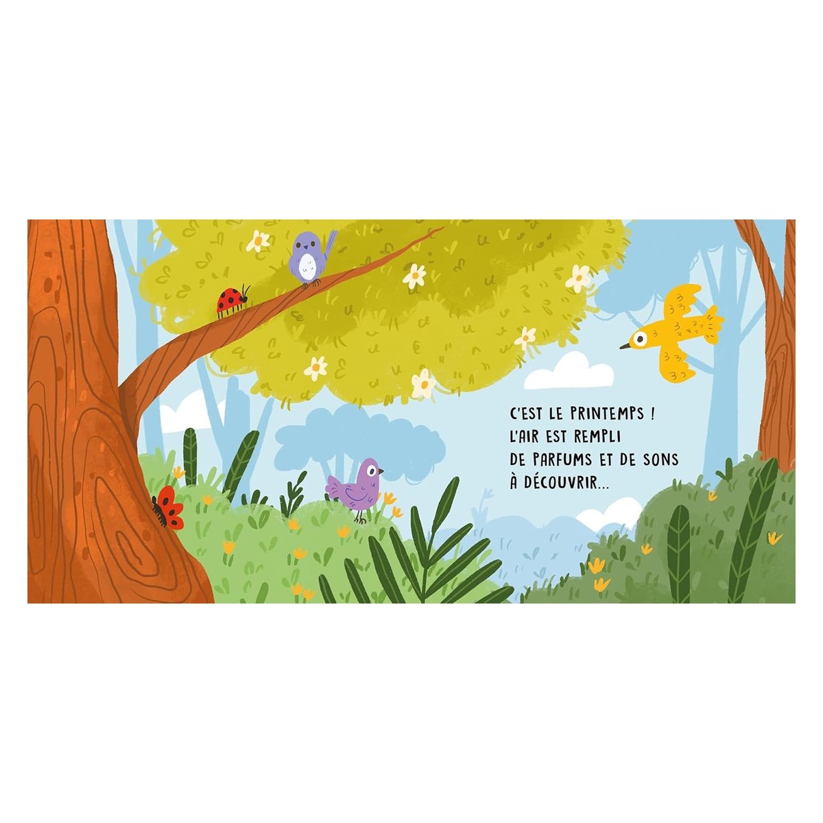 Douces histoires sonores Le Printemps orange, SASSI JUNIOR