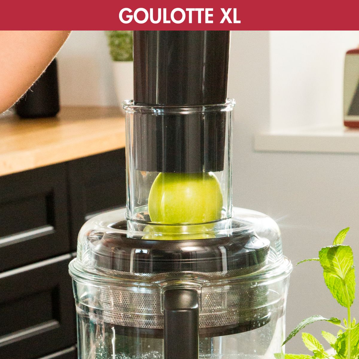 Extracteur de jus 17555 Extra Press XL noir, MAGIMIX
