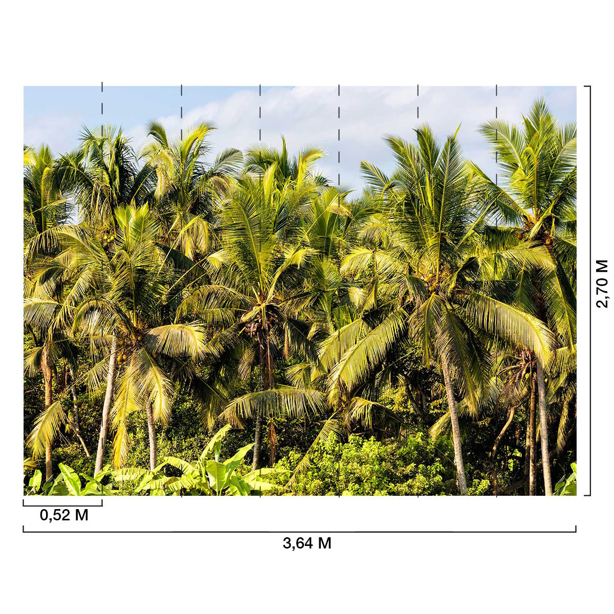 Papier peint panoramique exotique cocos plant intissé, HEXOA