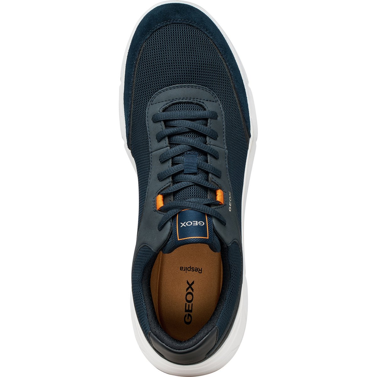 Baskets  U VITTOUR bleu marine, GEOX