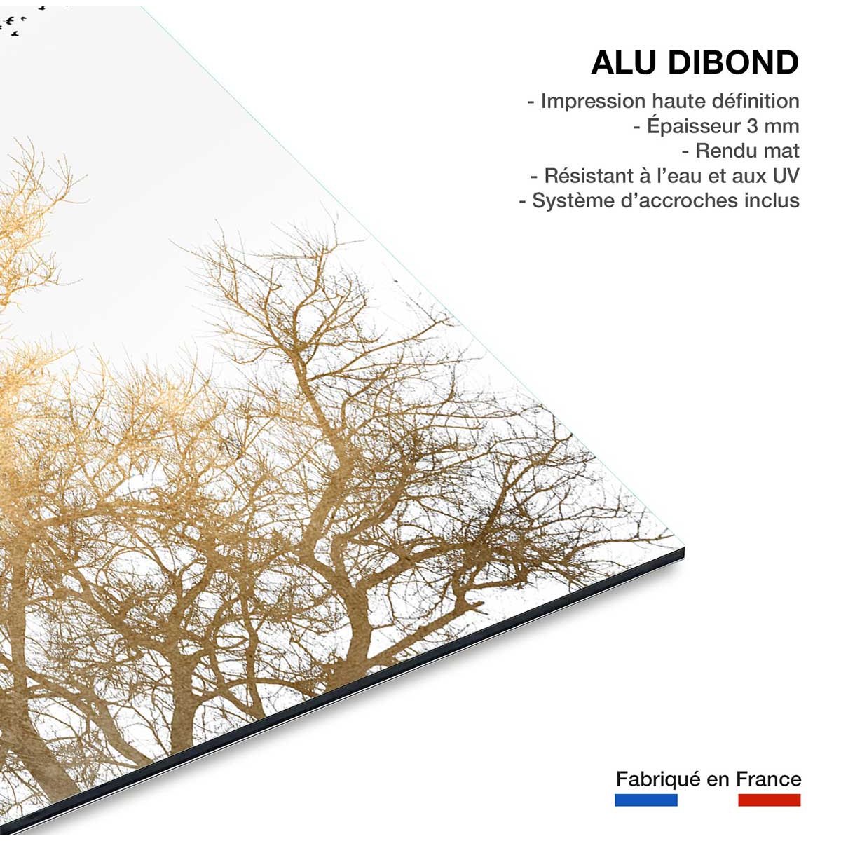 Tableau dessin Ciel d'or tableau alu dibond, HEXOA